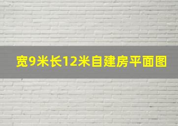 宽9米长12米自建房平面图