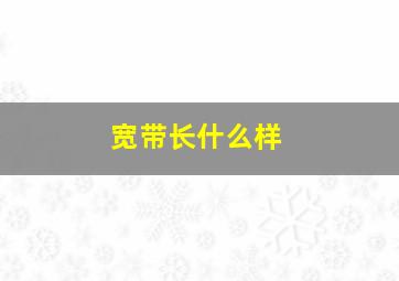 宽带长什么样(