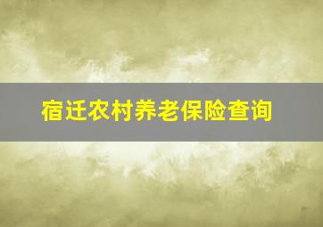 宿迁农村养老保险查询