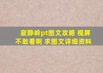 寂静岭pt图文攻略 视屏不敢看啊 求图文详细资料