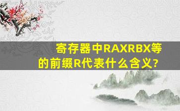 寄存器中RAX,RBX等的前缀R代表什么含义?