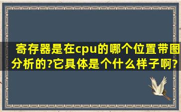 寄存器是在cpu的哪个位置(带图分析的)?它具体是个什么样子啊?有多大?