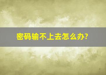 密码输不上去。怎么办?