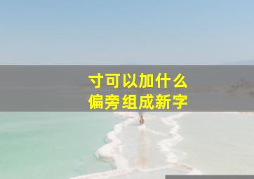 寸可以加什么偏旁组成新字