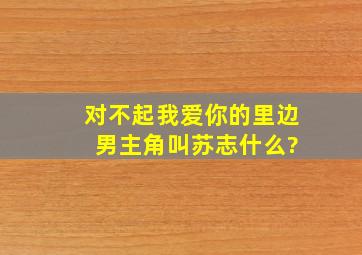 对不起我爱你的里边 男主角叫苏志什么?