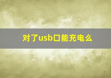 对了,usb口能充电么