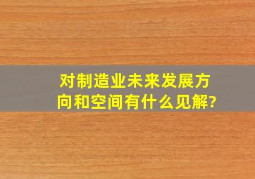 对制造业未来发展方向和空间有什么见解?