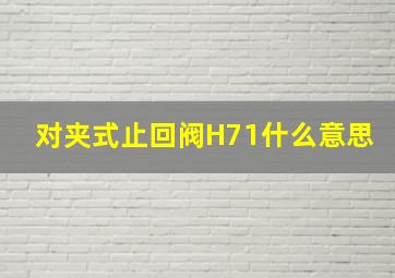 对夹式止回阀H71什么意思