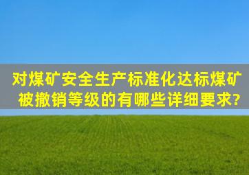 对煤矿安全生产标准化达标煤矿被撤销等级的有哪些详细要求?