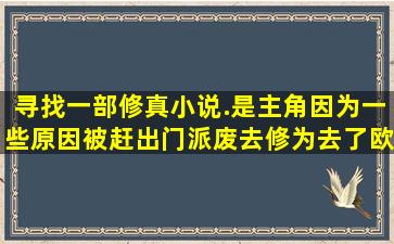 寻找一部修真小说.是主角因为一些原因被赶出门派废去修为去了欧洲....