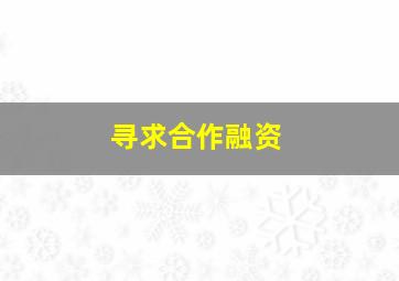 寻求合作、融资