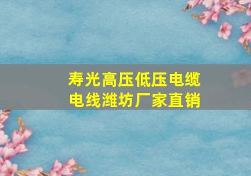 寿光高压低压电缆电线潍坊厂家直销