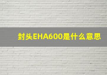 封头EHA600是什么意思