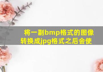 将一副bmp格式的图像转换成jpg格式之后,会使()。