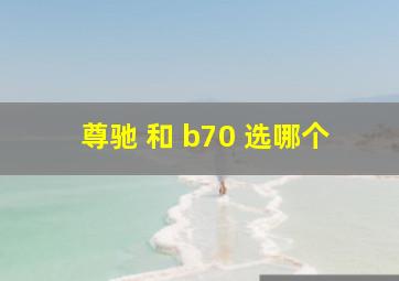 尊驰 和 b70 选哪个