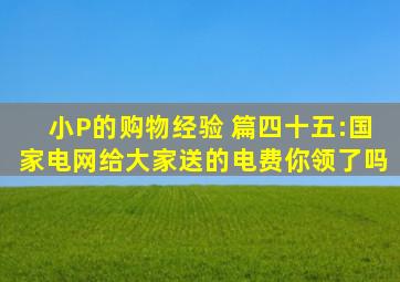 小P的购物经验 篇四十五:国家电网给大家送的电费,你领了吗