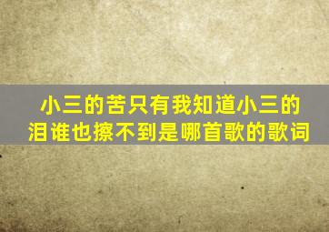 小三的苦只有我知道,小三的泪谁也擦不到是哪首歌的歌词