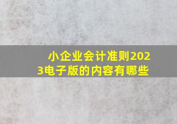 小企业会计准则2023电子版的内容有哪些 