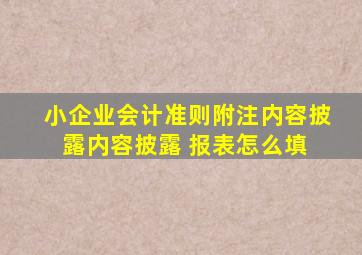 小企业会计准则附注内容披露内容披露 报表怎么填 