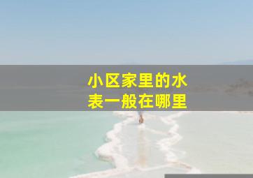 小区家里的水表一般在哪里