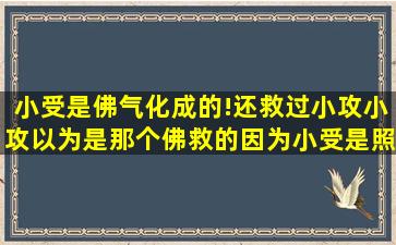 小受是佛气化成的!还救过小攻,小攻以为是那个佛救的,因为小受是照着...