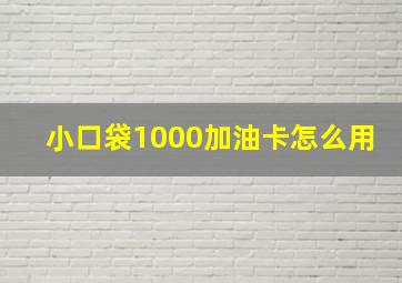 小口袋1000加油卡怎么用