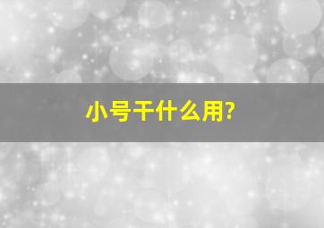 小号干什么用?