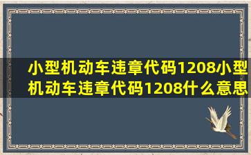 小型机动车违章代码1208,小型机动车违章代码1208什么意思