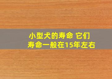 小型犬的寿命 它们寿命一般在15年左右