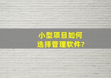 小型项目如何选择管理软件?