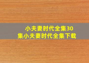 小夫妻时代全集30集,小夫妻时代全集下载