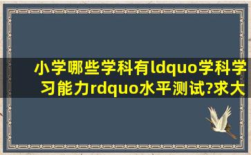 小学哪些学科有“学科学习能力”水平测试?求大神介绍下