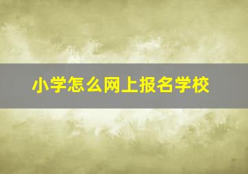 小学怎么网上报名学校