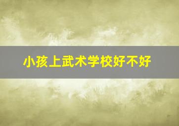 小孩上武术学校好不好