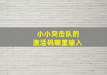 小小突击队的激活码哪里输入