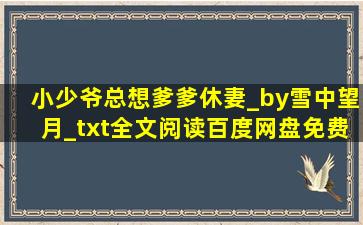 小少爷总想爹爹休妻_by雪中望月_txt全文阅读,百度网盘免费下载