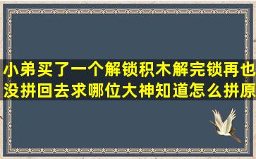 小弟买了一个解锁积木,解完锁再也没拼回去,求哪位大神知道怎么拼原型