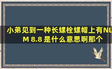 小弟见到一种长螺栓,螺帽上有NL M 8.8 是什么意思啊,那个8.8有