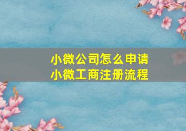 小微公司怎么申请(小微工商注册流程)