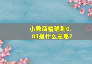 小数商精确到0.01是什么意思?