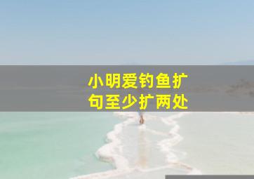 小明爱钓鱼扩句至少扩两处