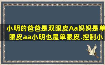 小明的爸爸是双眼皮(Aa)、妈妈是单眼皮(aa),小明也是单眼皮.控制小明...