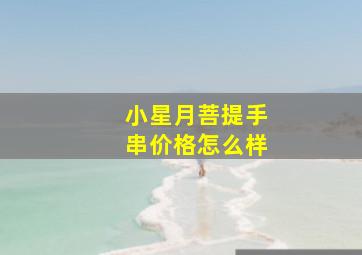 小星月菩提手串价格怎么样(