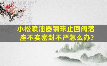 小松喷油器钢球止回阀落座不实密封不严怎么办?