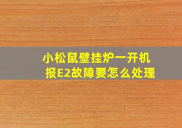 小松鼠壁挂炉一开机报E2故障要怎么处理(