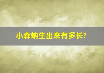 小森蚺生出来有多长?