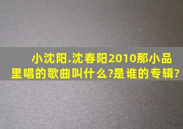 小沈阳.沈春阳2010那小品里唱的歌曲叫什么?是谁的专辑?