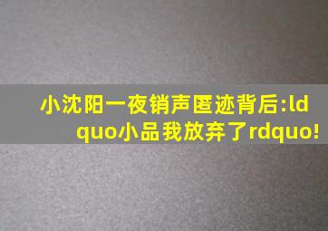 小沈阳一夜销声匿迹背后:“小品,我放弃了”!