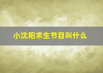 小沈阳求生节目叫什么