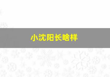 小沈阳长啥样